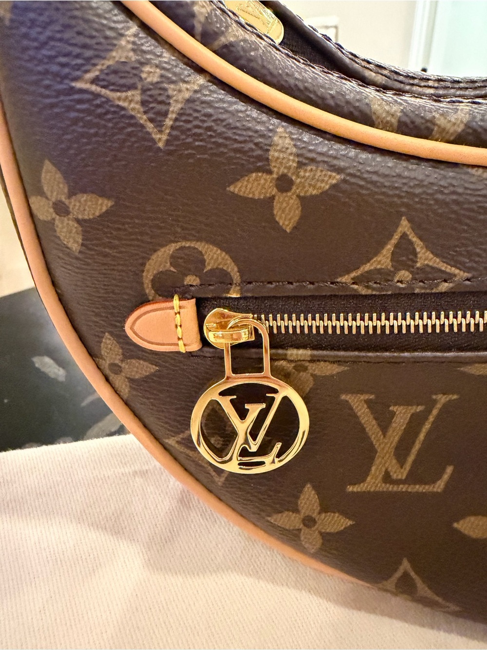 Louis Vuitton Monogram Loop Bag - Picture 11 of 12